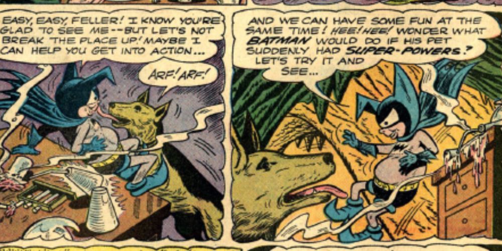 Bat-Mite gives Ace powers in DC comics