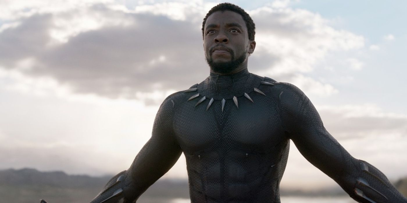 T'Challa in Black Panther suit