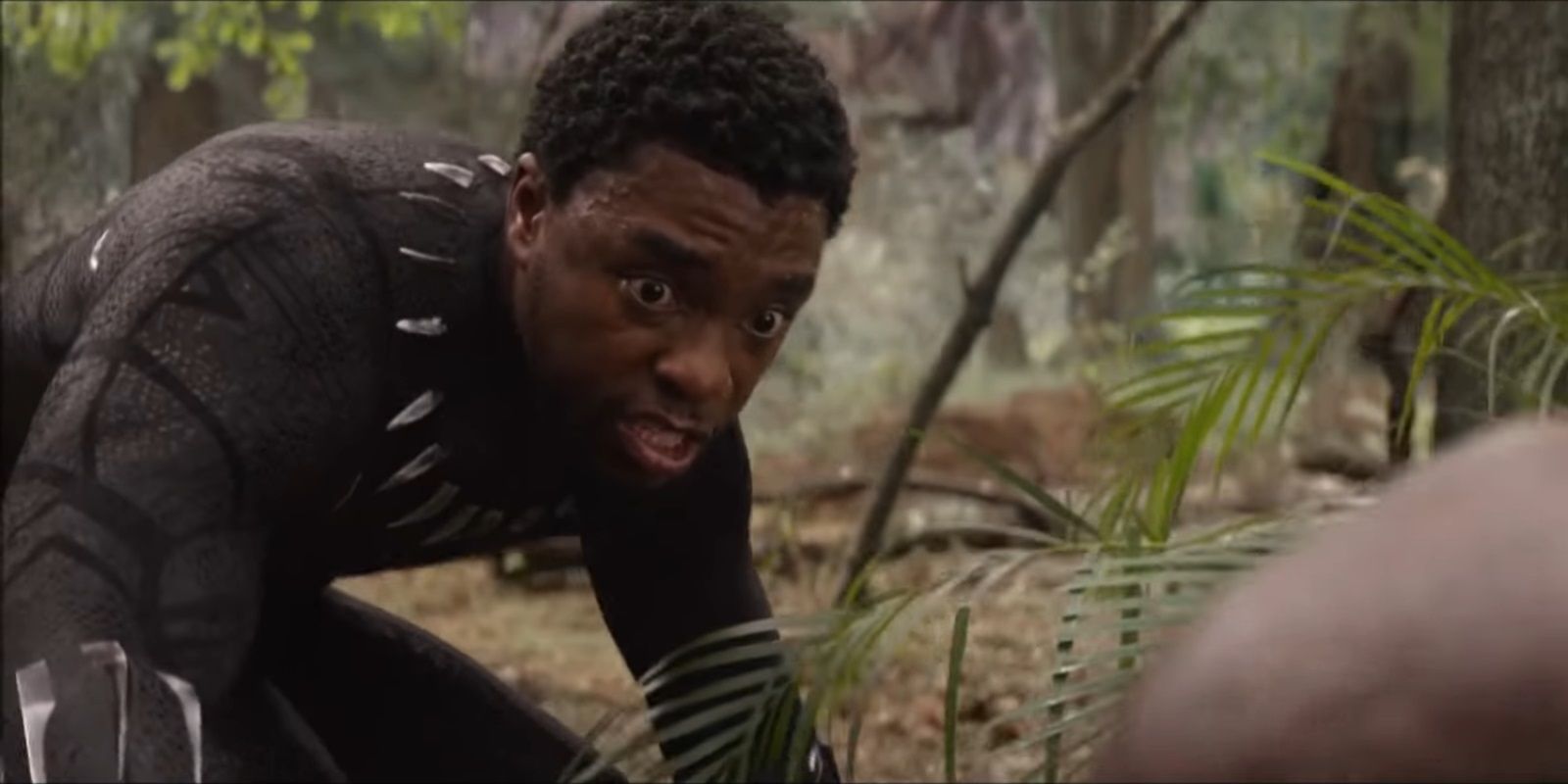 Black Panther reaches out to Okoye in Avengers Infinity War