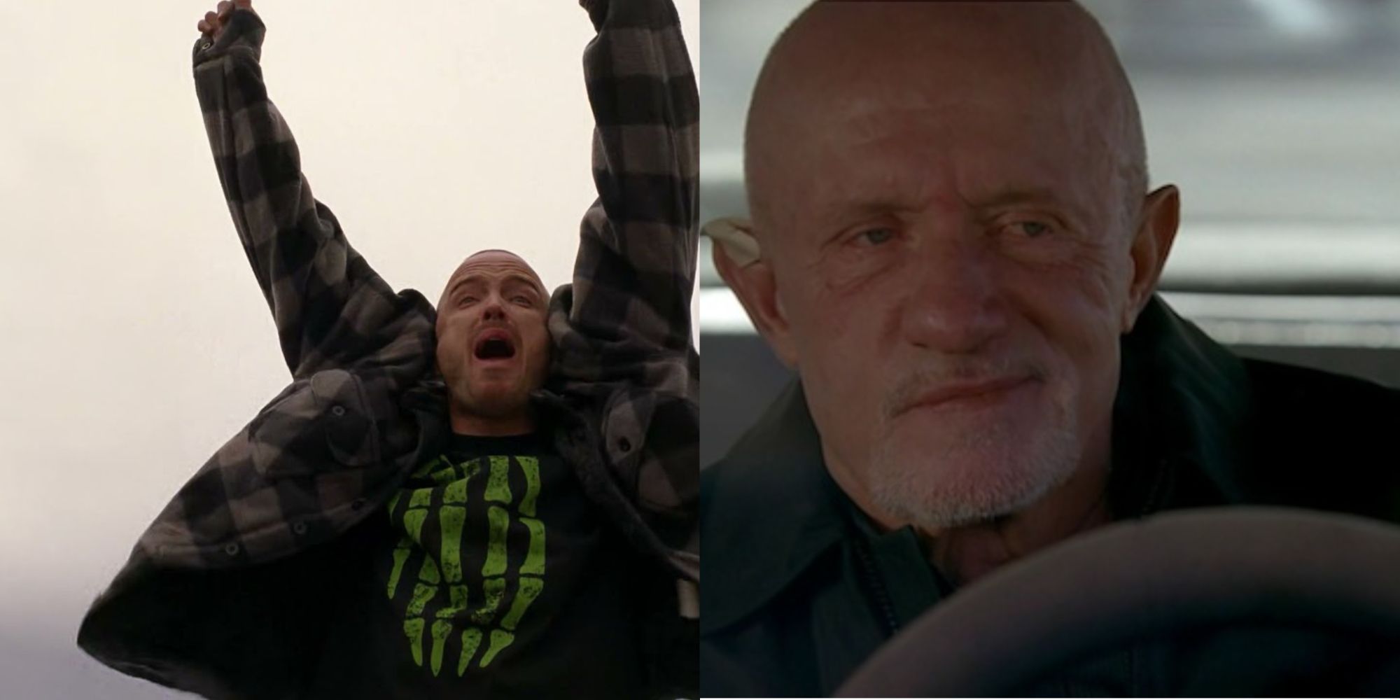 The 10 Funniest Breaking Bad Quotes, According to Reddit