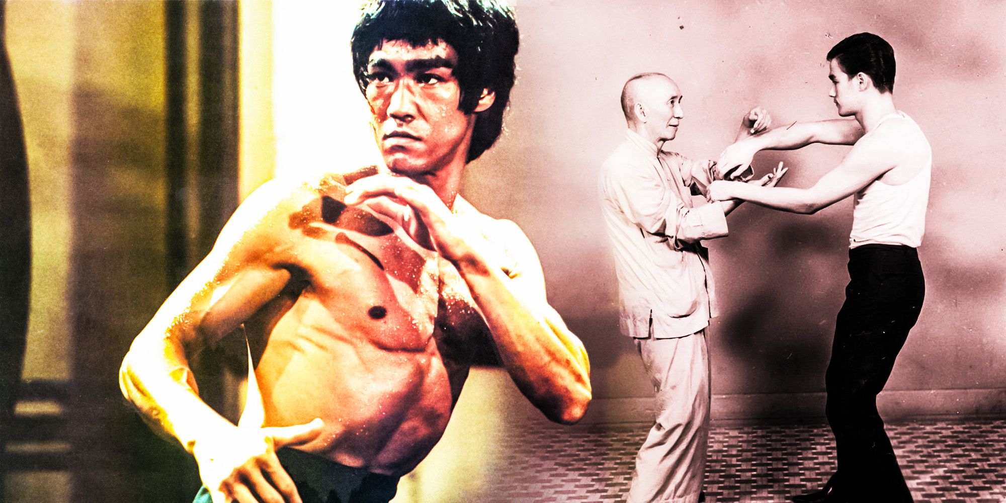 Arriba 33+ imagen fighting style of bruce lee