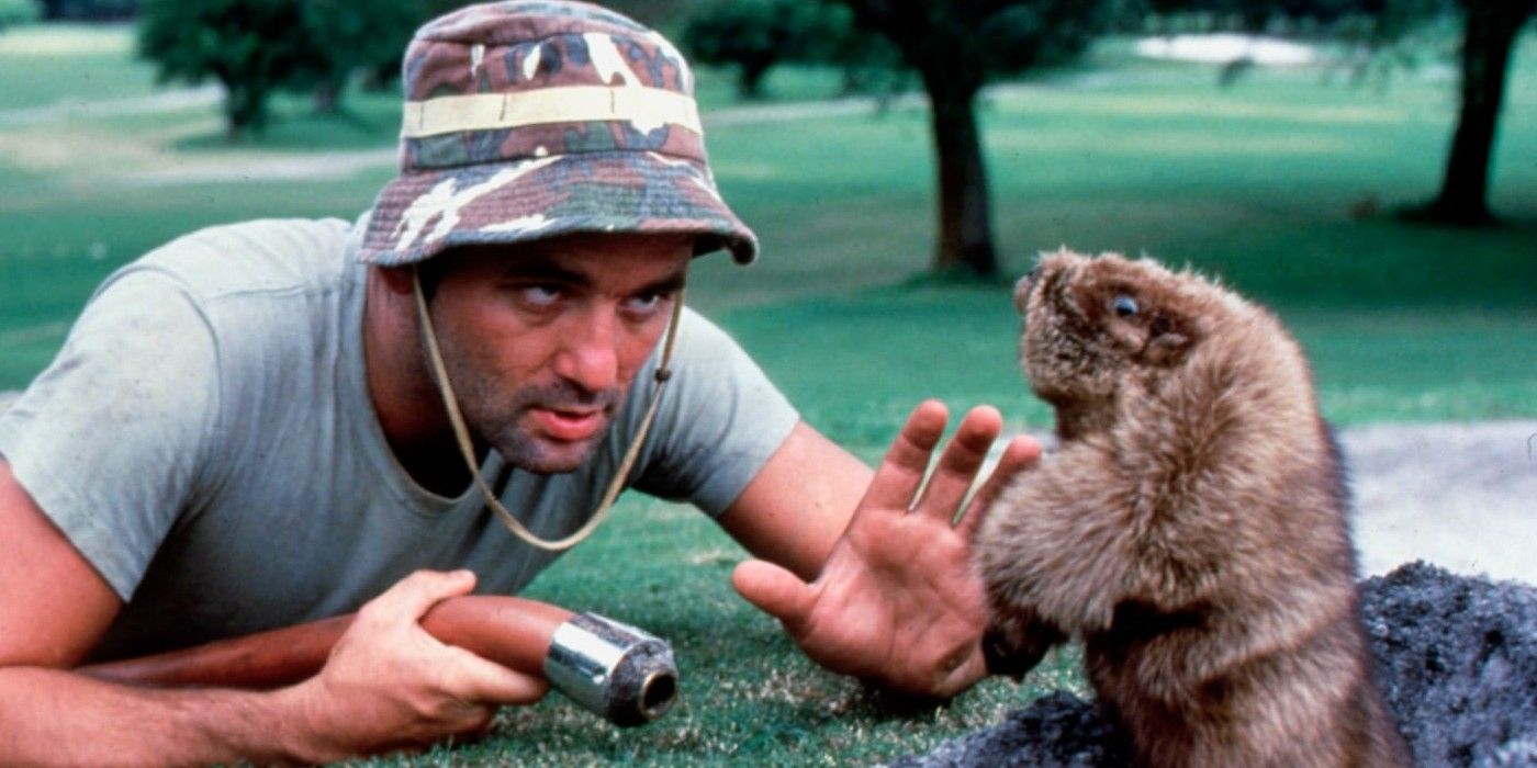 Bill Murray talking to a gopher at the Caddyshack