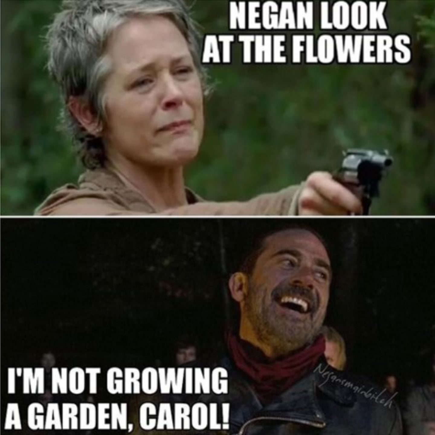 Meme about Negan not being scared of Carol's flowers. 