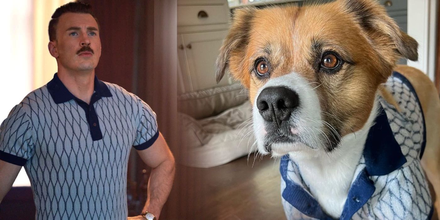 Chris Evans Gets His Dog Dodger a Matching Shirt from The Gray Man