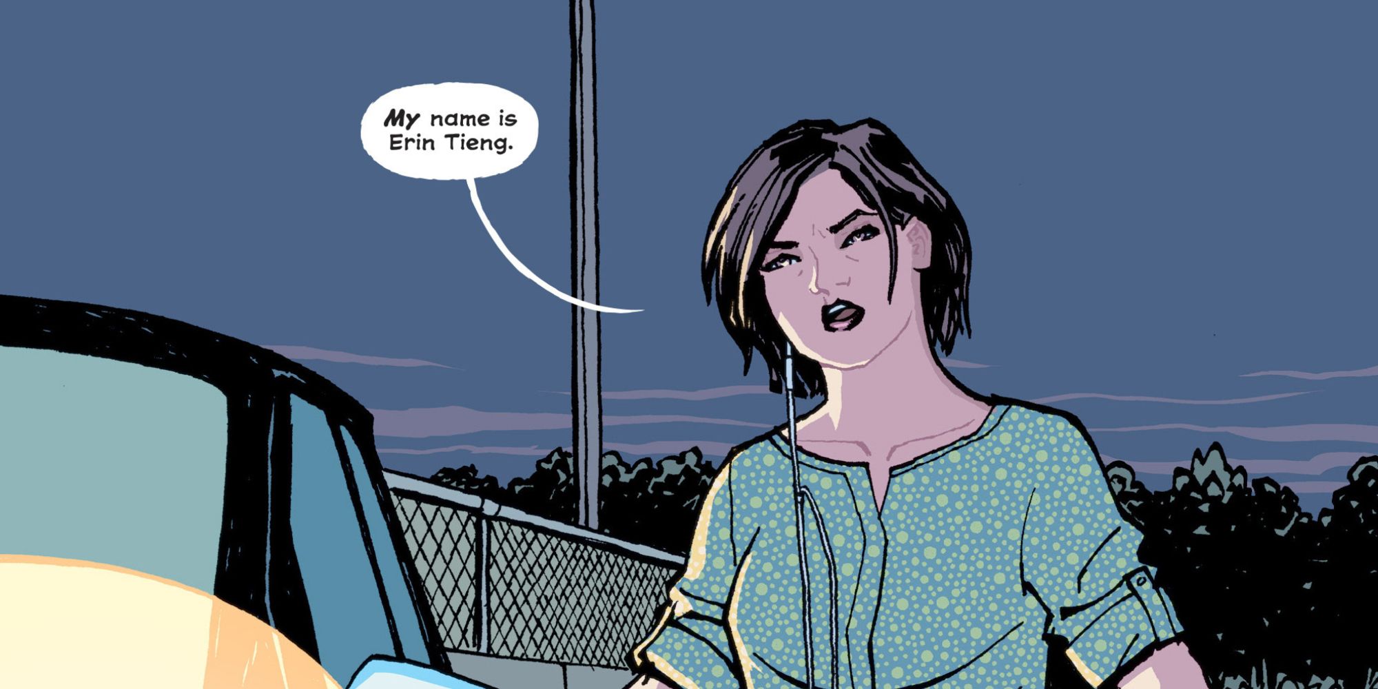 Adult Erin appears in Paper Girls comics.