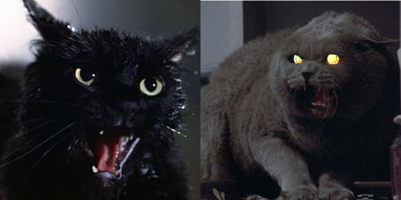 Top 10 Halloween Movies for Scaredy-Cats