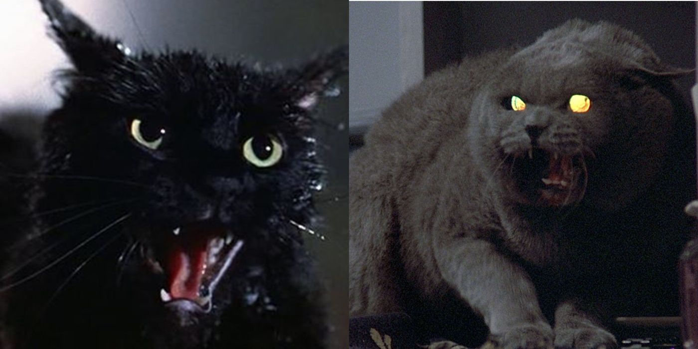 7 Scary MoviesFor Scaredy-Cats