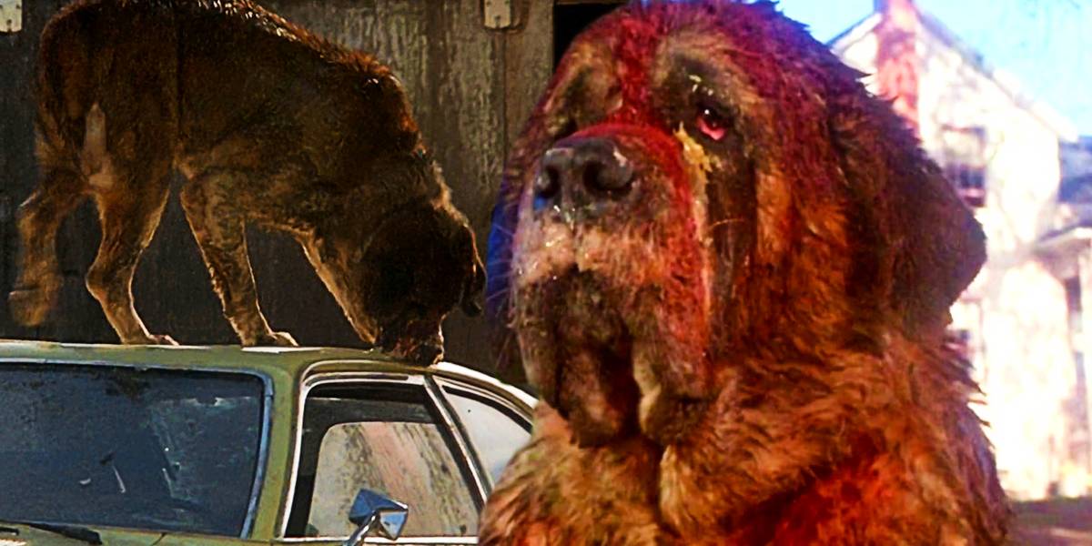 Cujo Ryu Cujo (2025) - First Trailer - Netflix and Chill