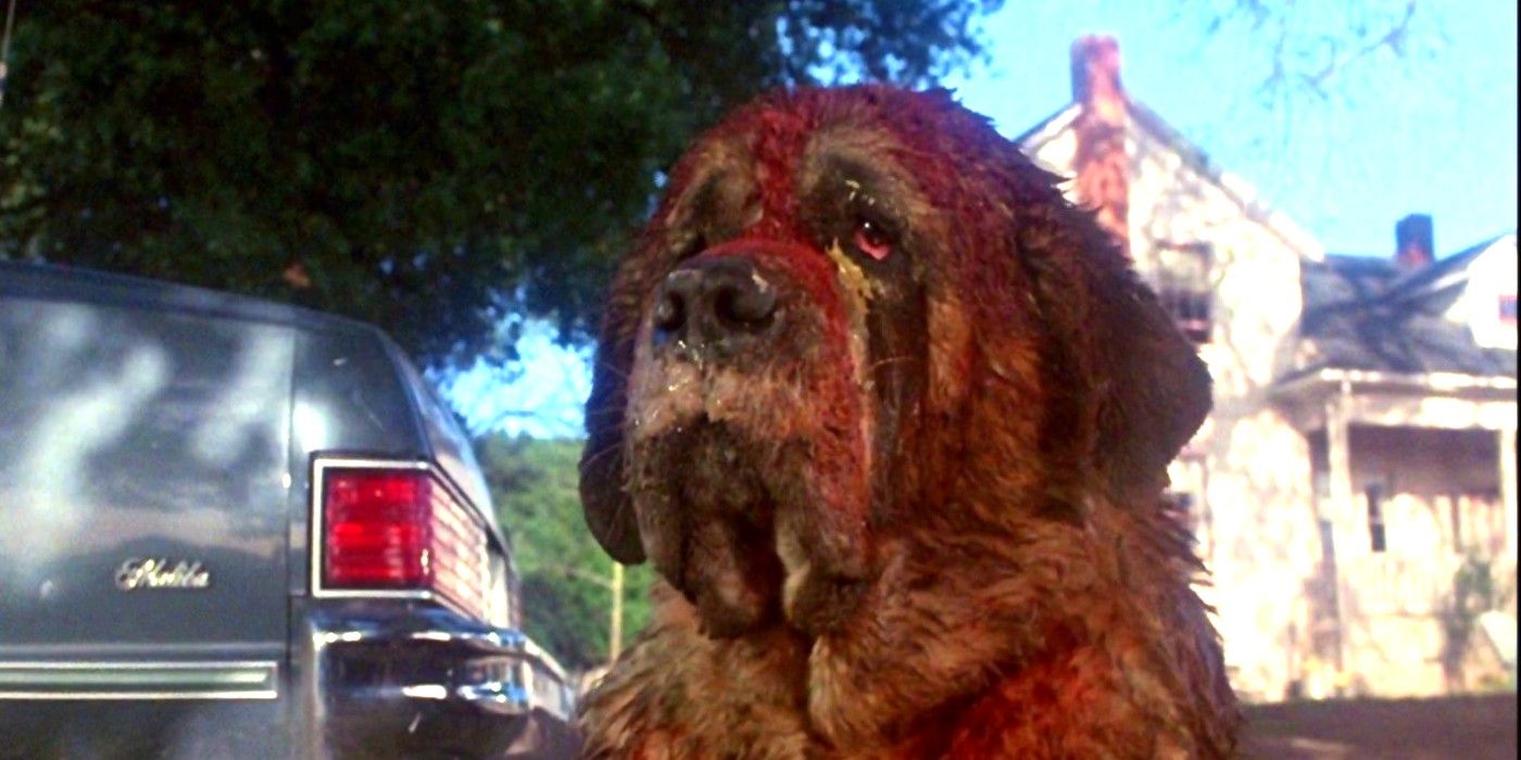 Cujo stares and waits in Cujo 1983