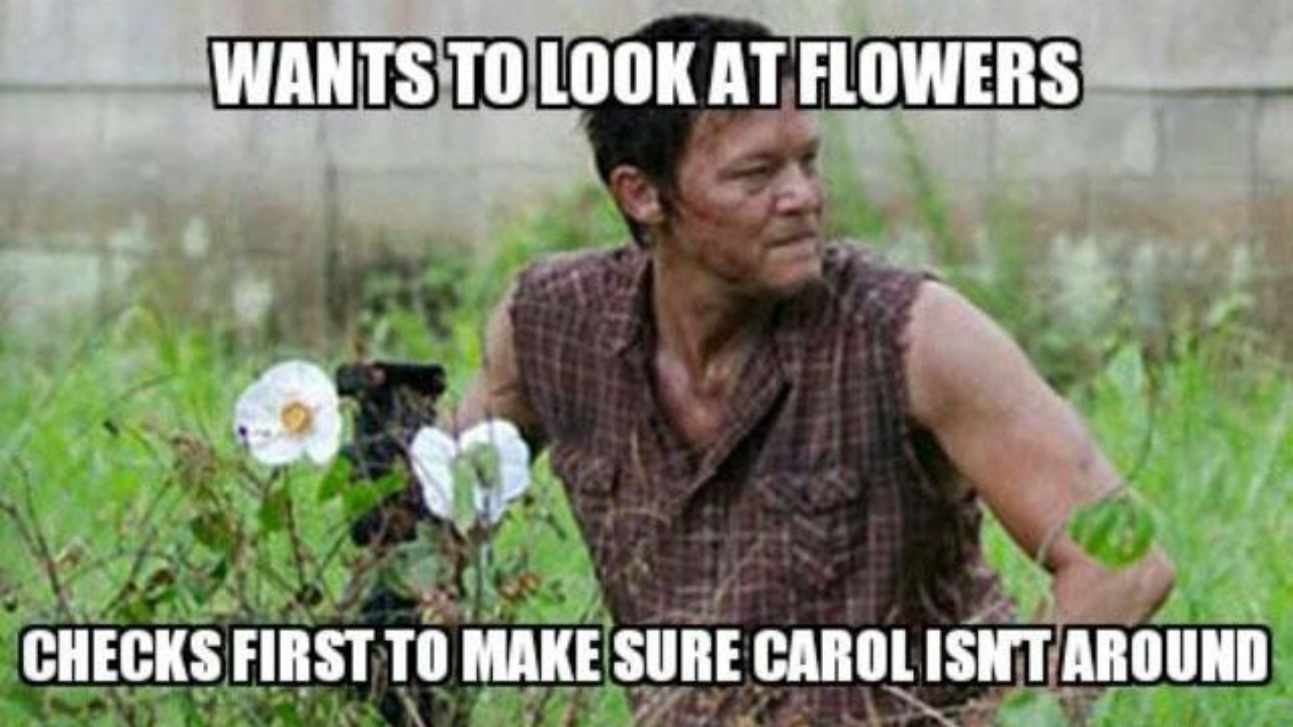 Funny meme about Daryl looking out when he looks at flowers. 