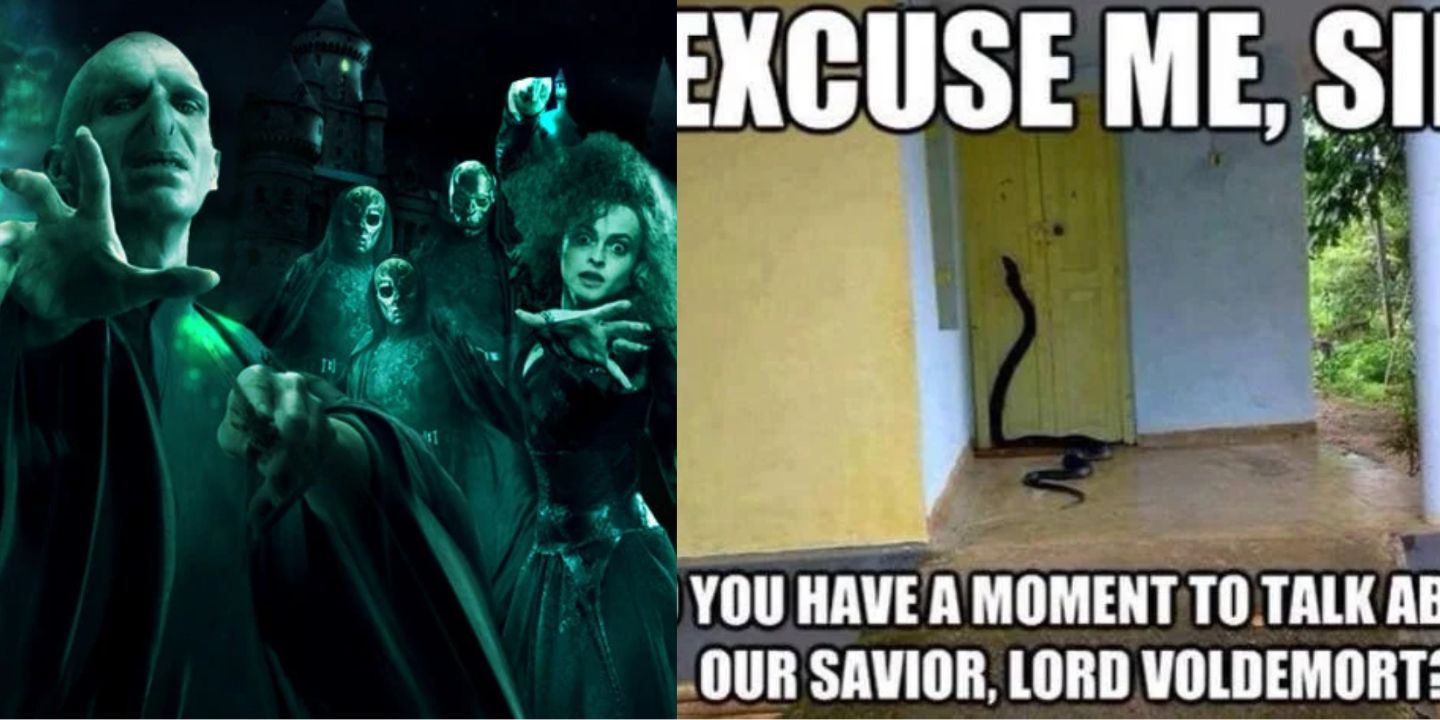 Harry Potter Memes - Voldemort is getting married.