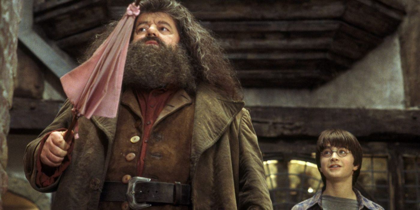 Hagrid and Harry standing in Diagon Alley in Harry Potter
