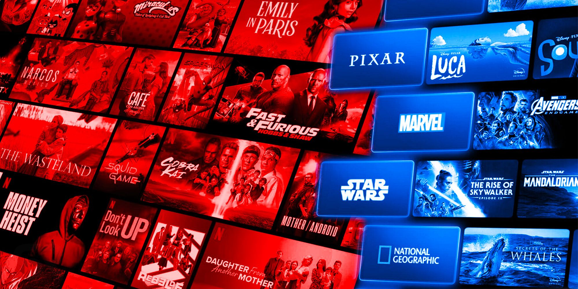 Disney plus Netflix subscribers