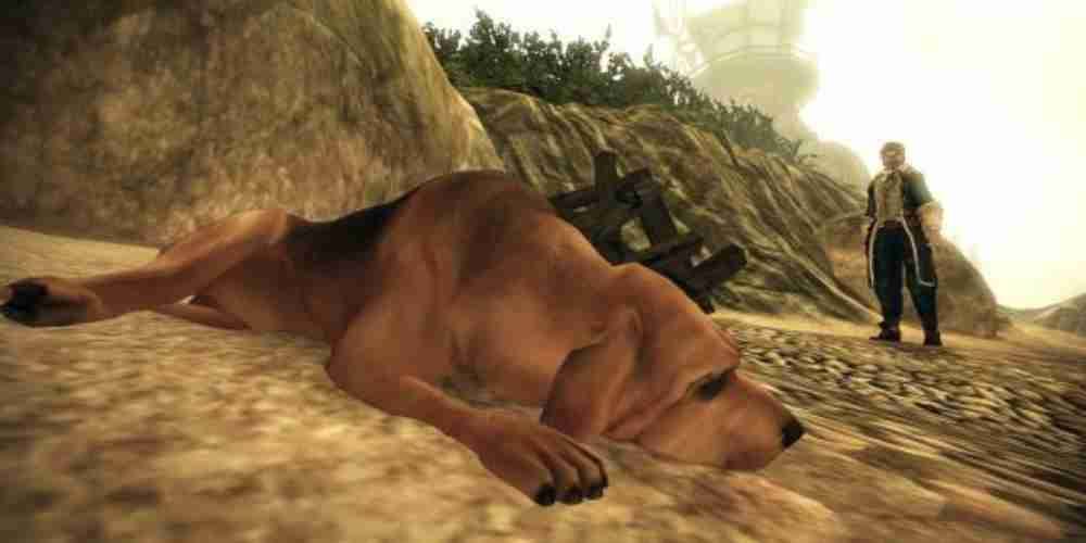 O cachorro da Fábula II está deitado de bruços.
