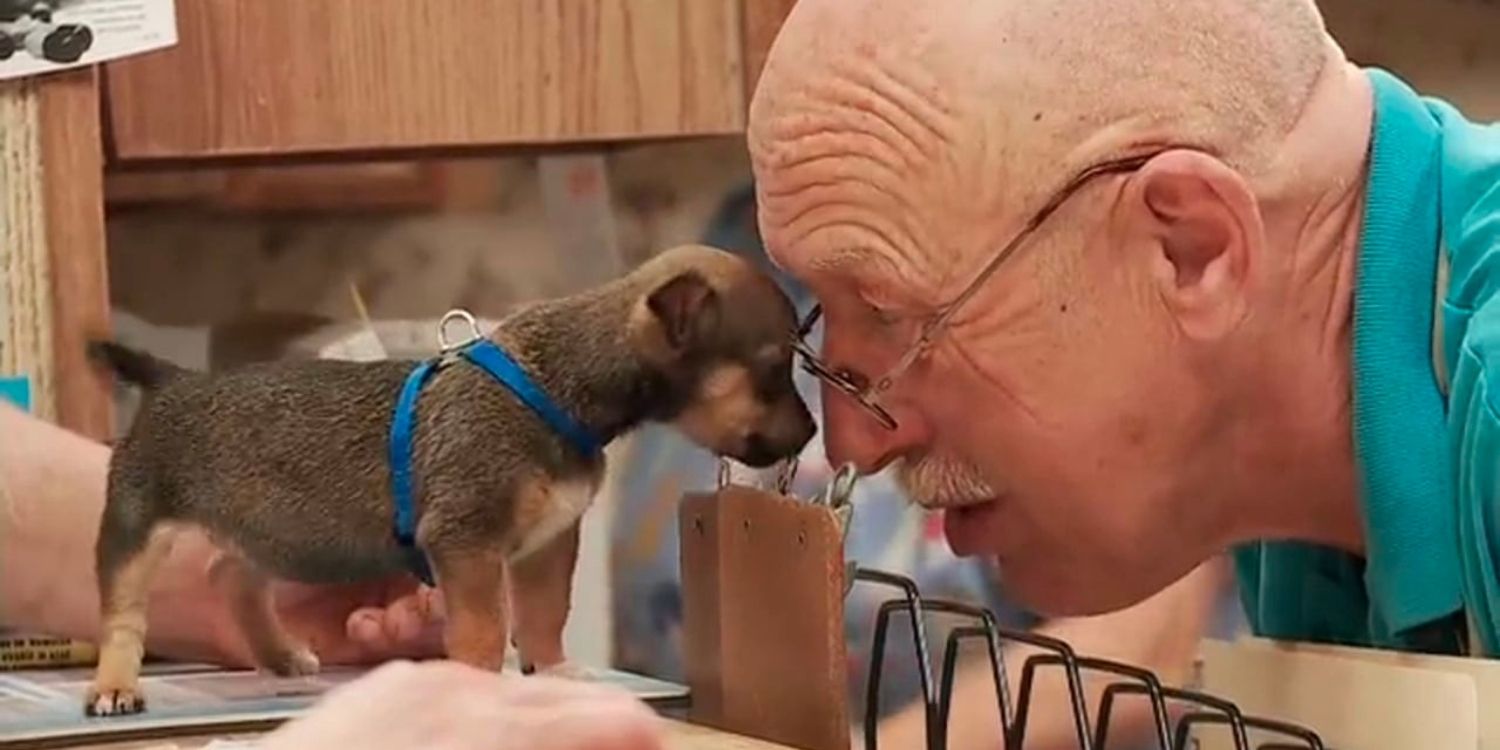 Dr Pol comes face to face with a small dog in The Incredible Dr Pol