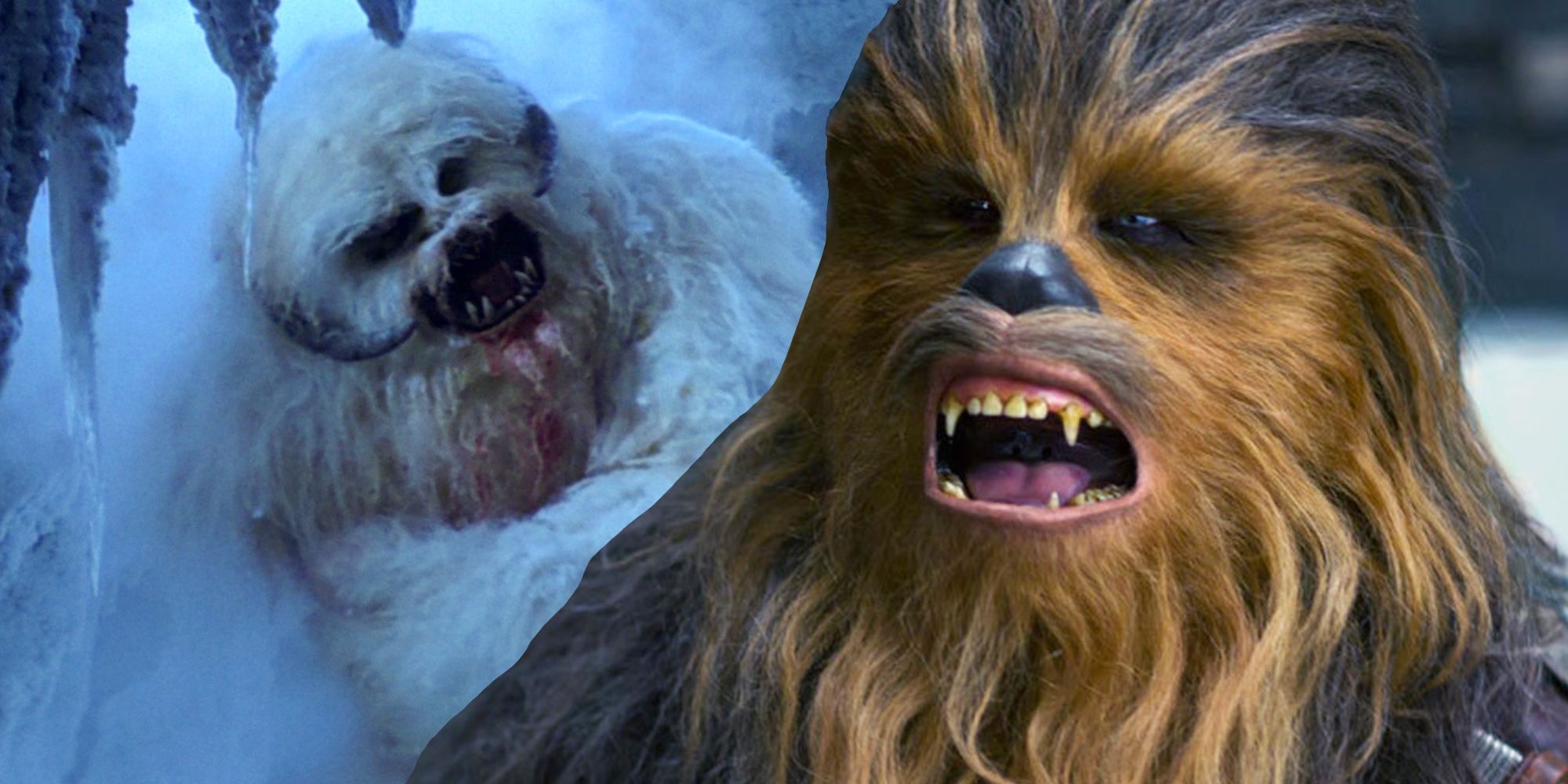 Chewbacca  Star wars, Star wars episodes, Star wars fans