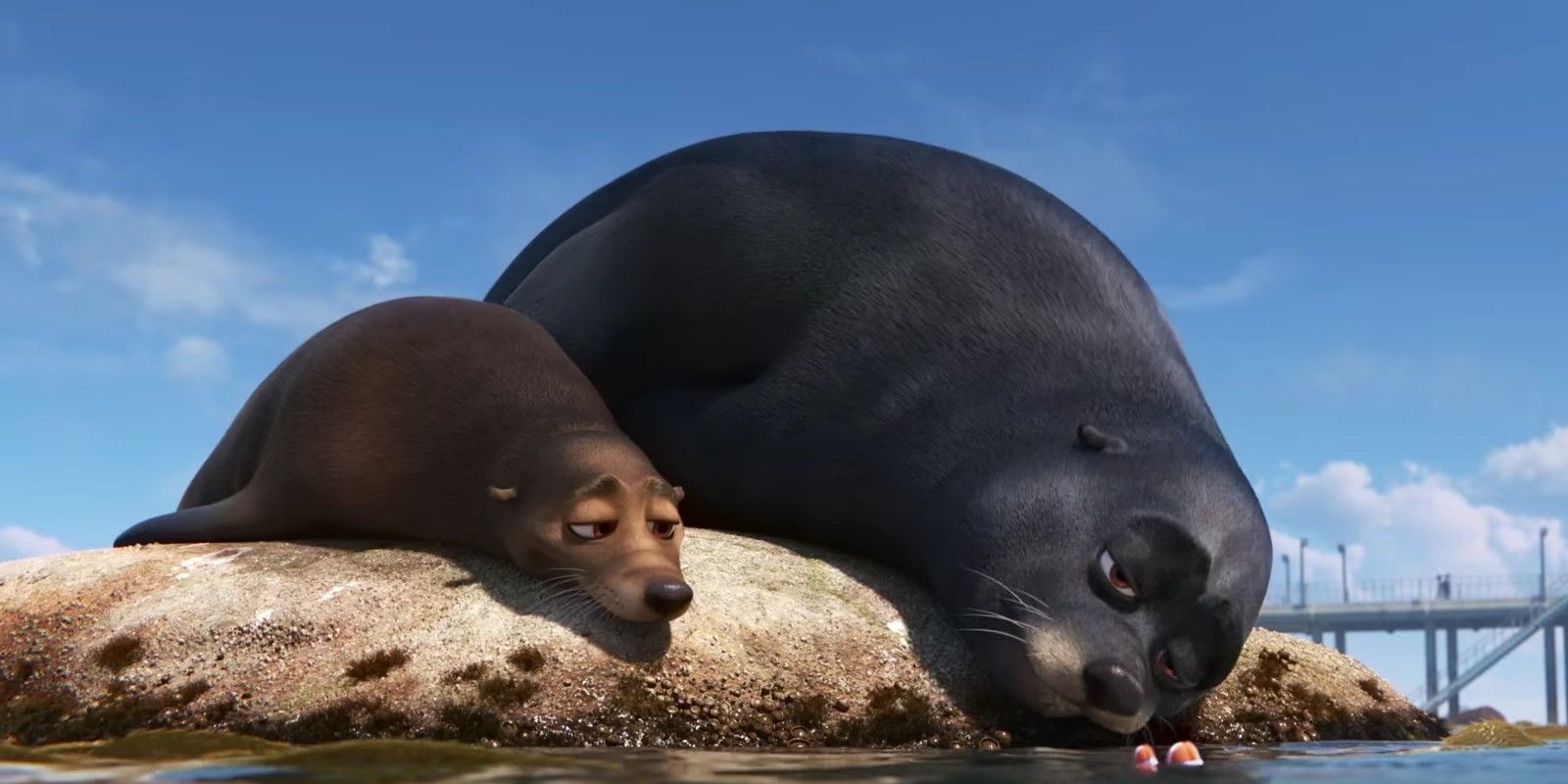 The seals lying on a rock in Finding Dory