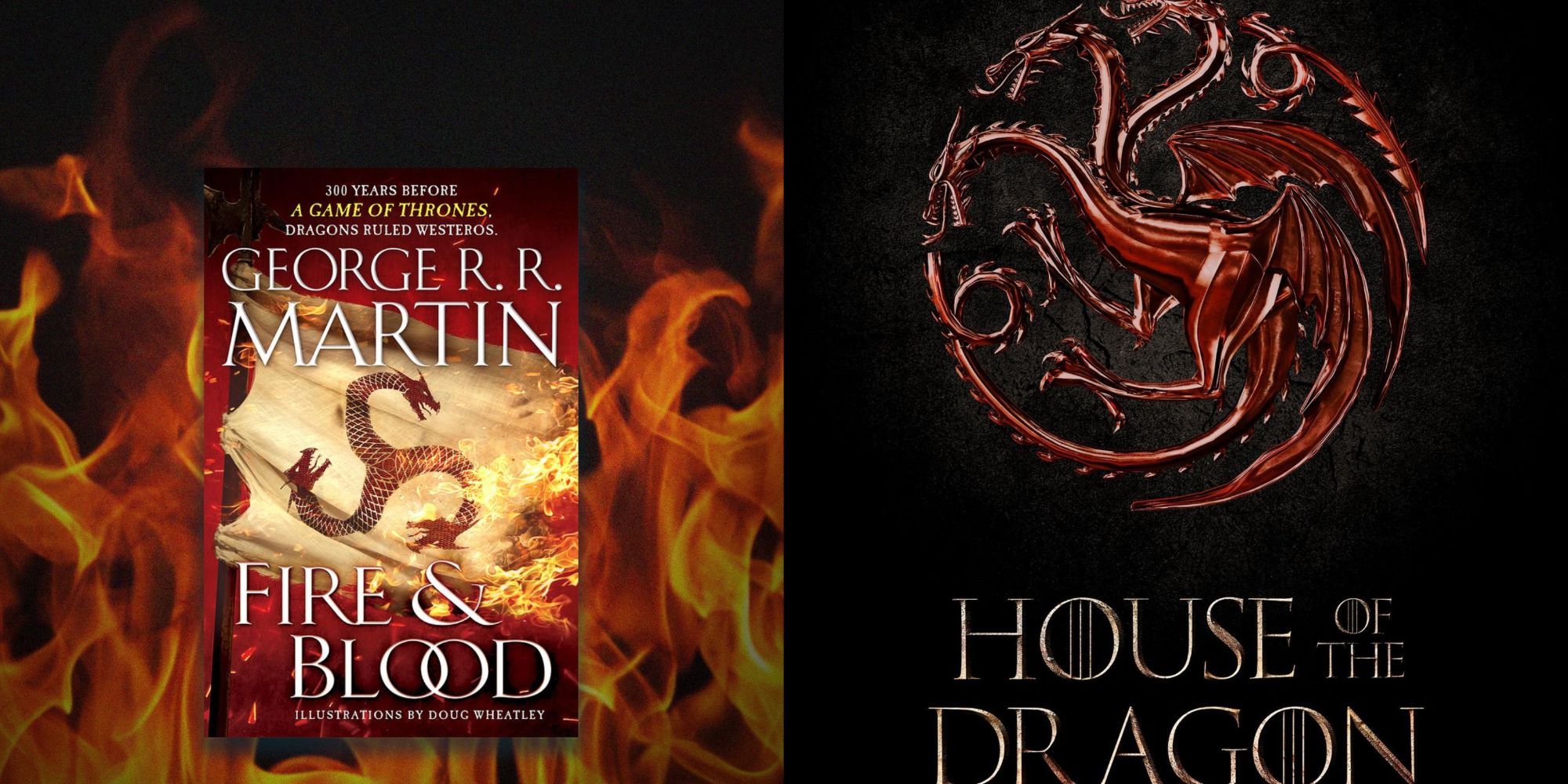 Fire and Blood cover art and House of the dragon cover