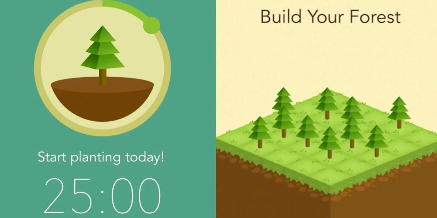 Split image showing a screen and a forest in the Forest Productivity app.