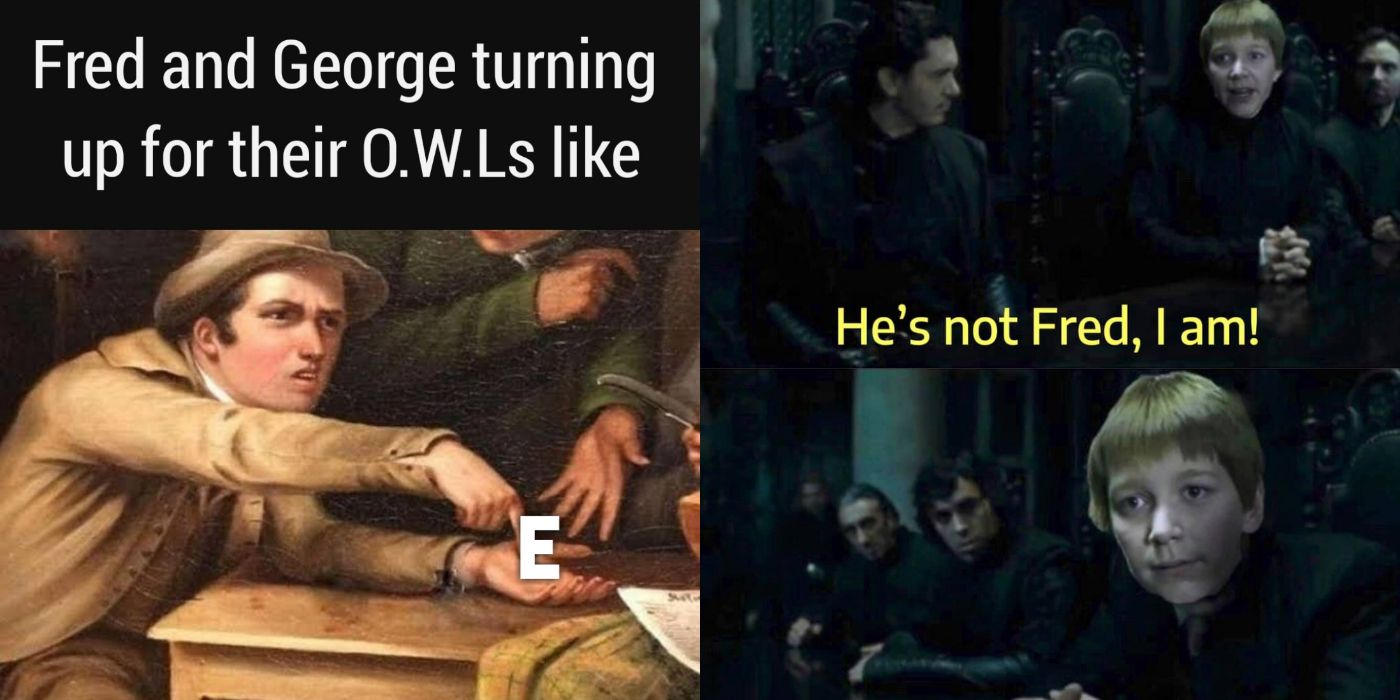 harry potter memes fred and george