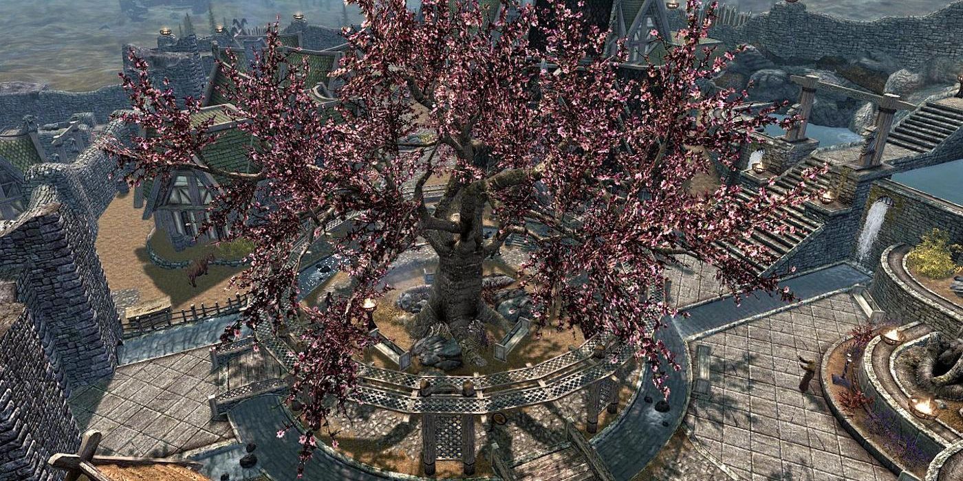 The Gildergreen tree as seen from above in Skyrim.
