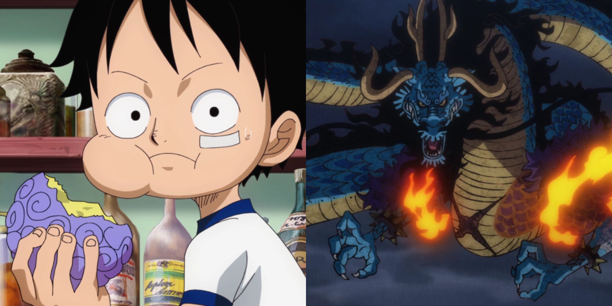 Is the thunder fruit a Logia?