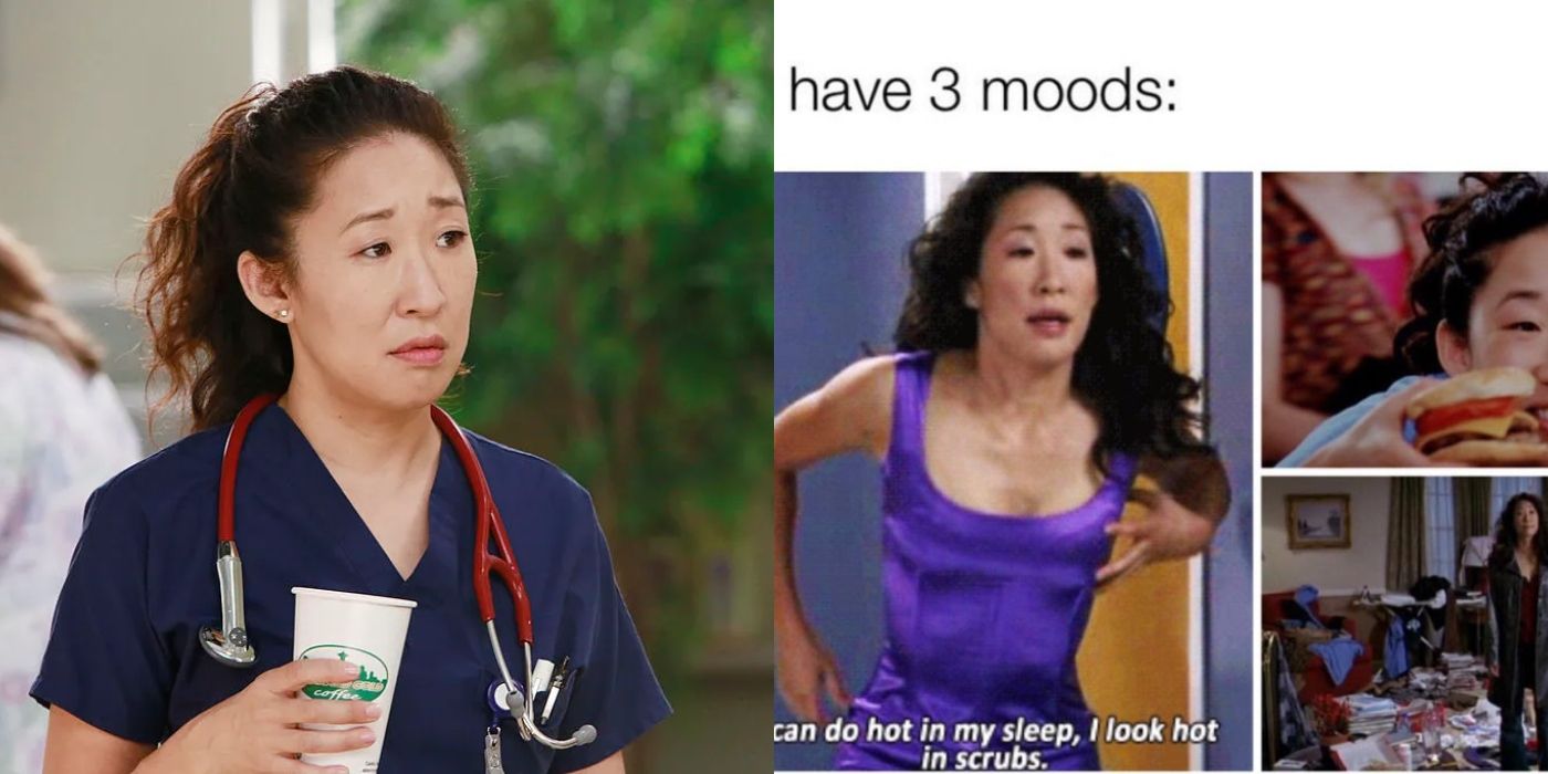 Greys Anatomy 10 Memes That Sum Up Cristina As A Character