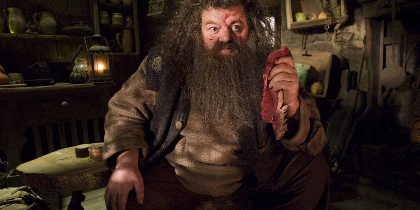 Hagrid holding a steak with a battered looking face in his cabin in Harry Potter. 