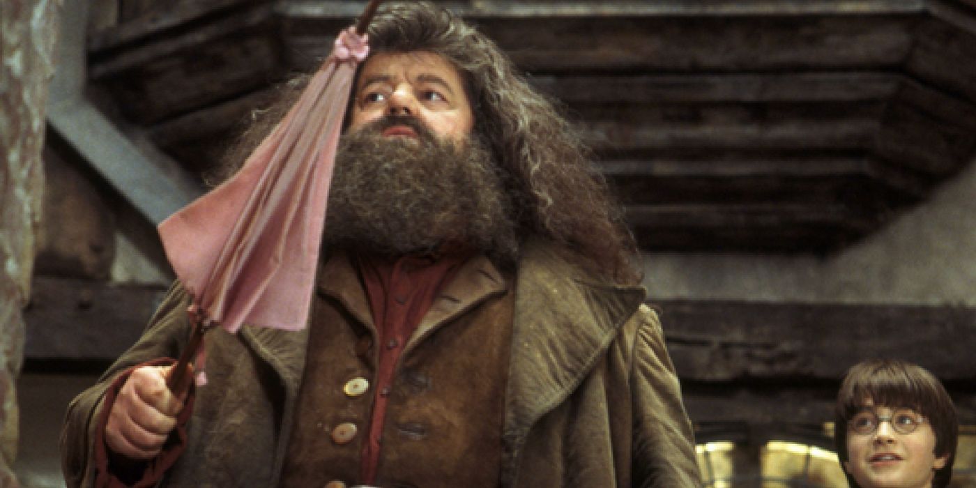 Hagrid segurando guarda-chuva rosa com Harry olhando