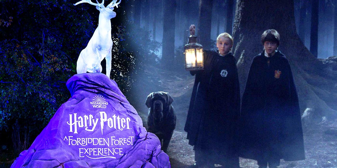 Harry Potter Forbidden Forest Experience
