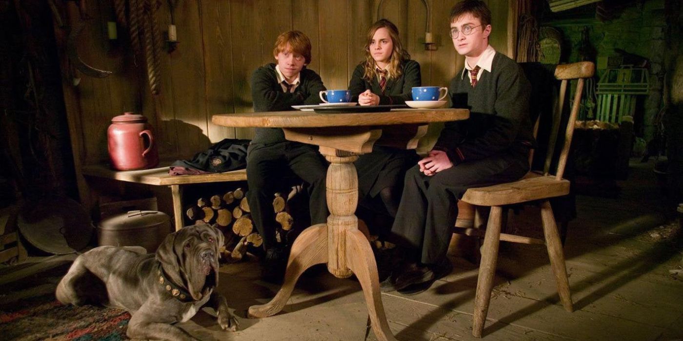 Harry Potter tomando chá com Ron e Hermione no Hagrid's.