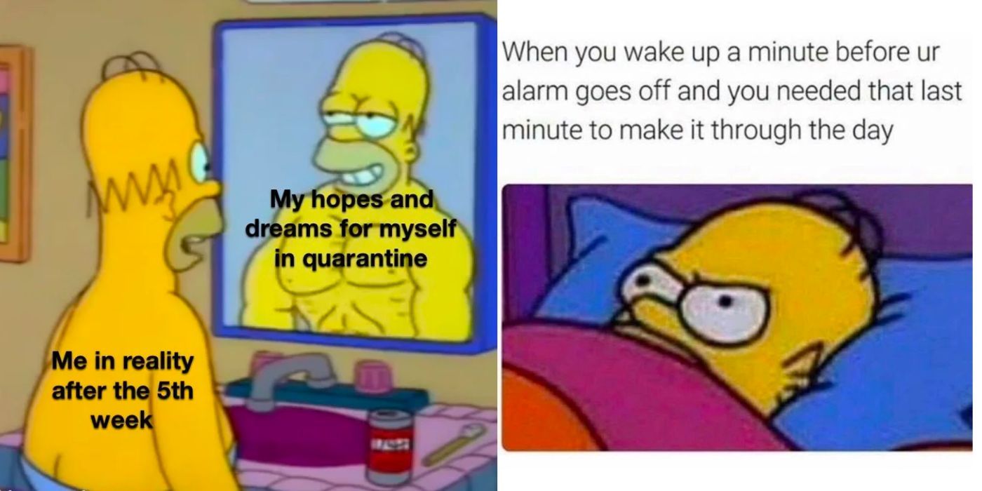 The Simpsons: 10 Memes That Perfectly Sum Up Homer As A Character