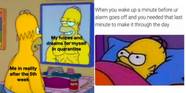 Simpson Color Meme