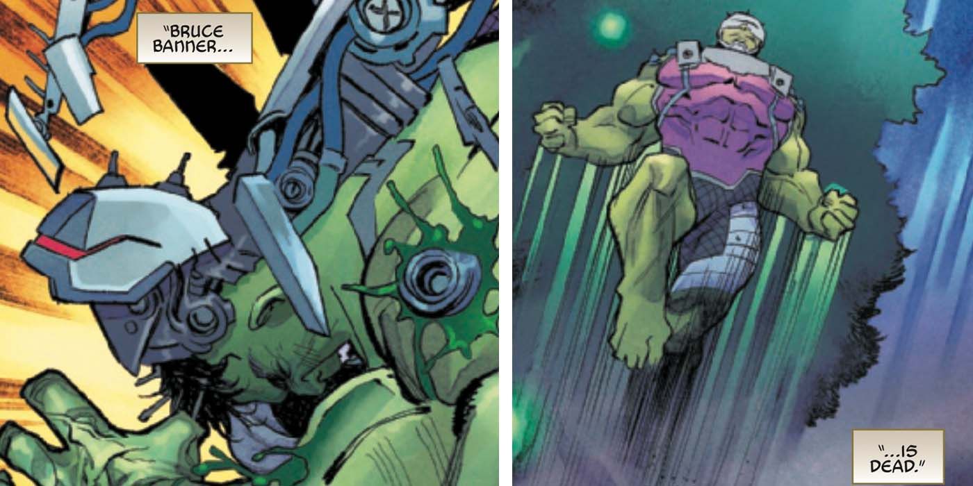 Hulk Death Bruce Banner Thor Fight