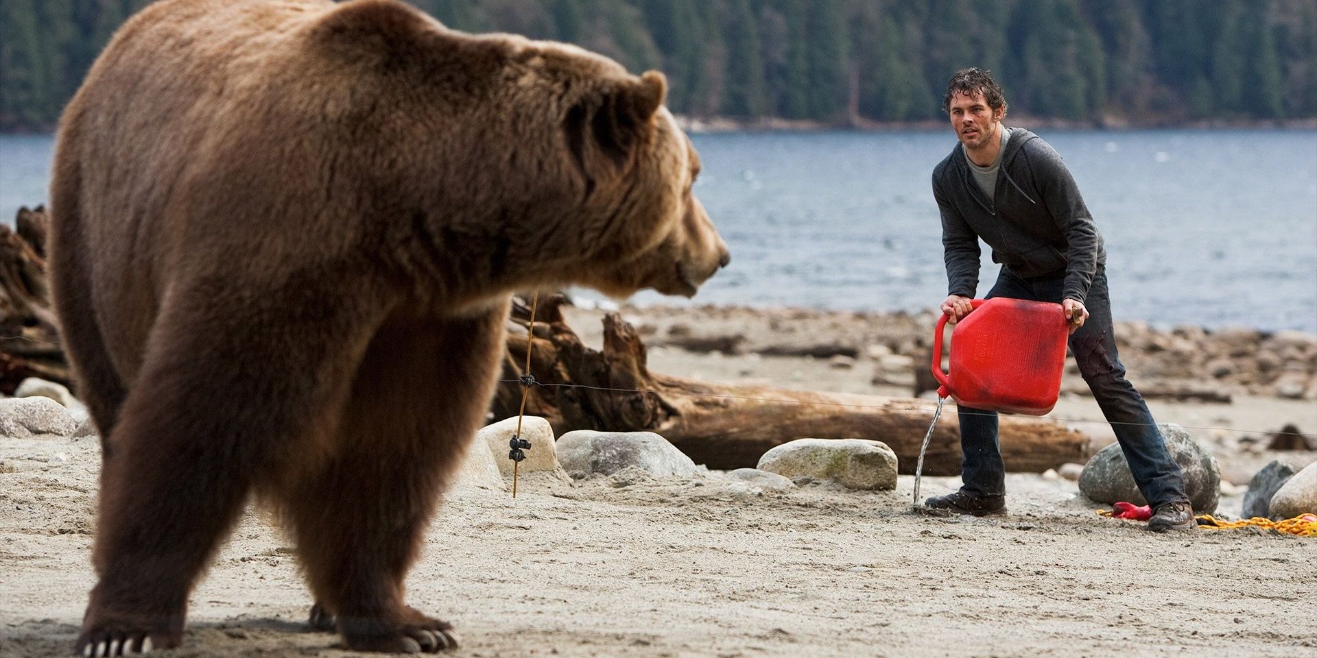 Beast 10 Best Animal Attack Movies, According To Reddit