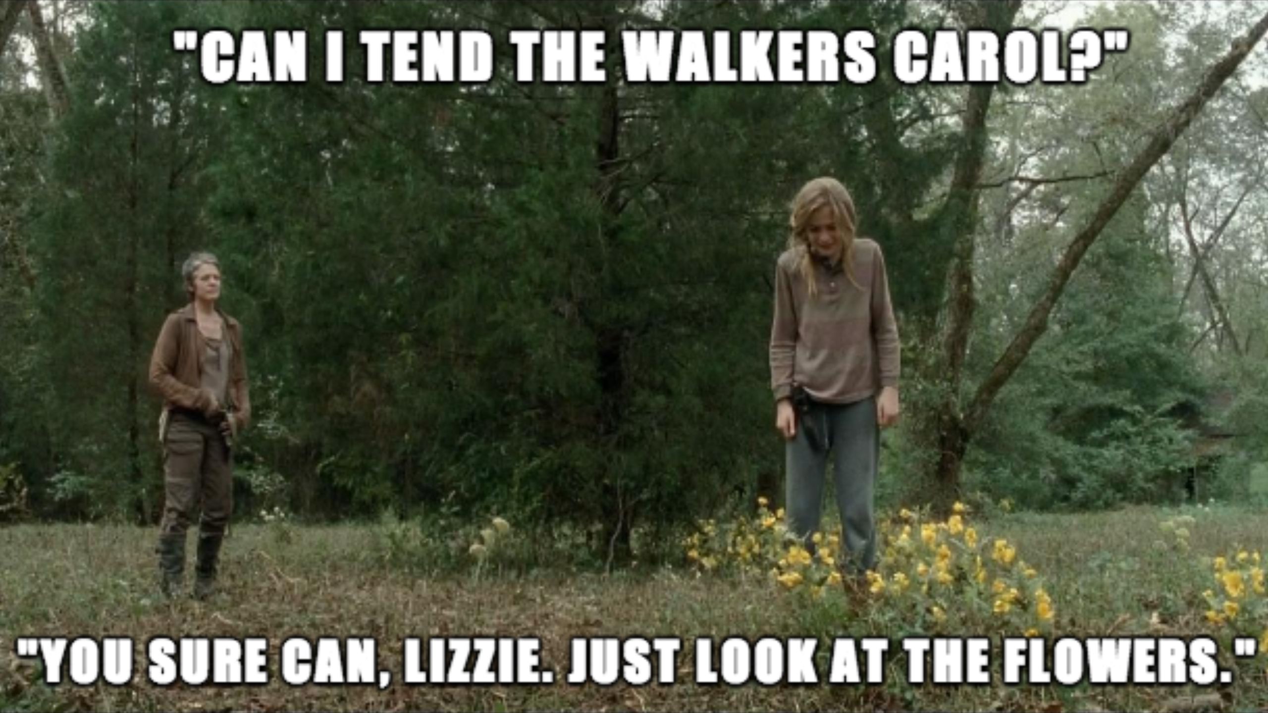 Meme about Carol telling Lizzie to look at the flowers. 