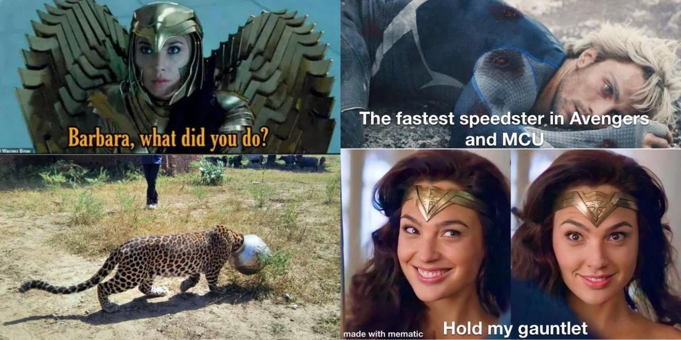 Dceu 10 Memes That Perfectly Sum Up Wonder Woman As A Character 5160