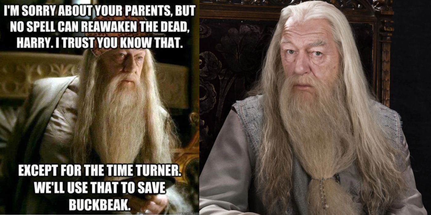 The Best Harry Potter Memes From 'Sorcerer's Stone' to 'Fantastic