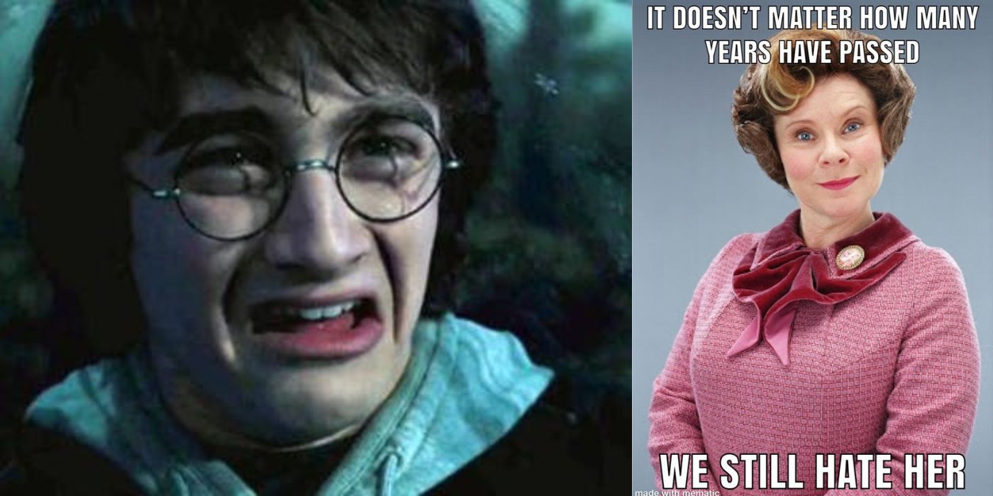 Harry Potter: 10 Memes That Perfectly Sum Up Voldemort As A Character