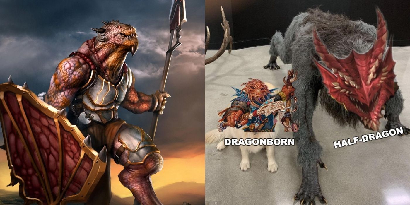 D&D: 10 Things You Didn't Know About Dragonborn