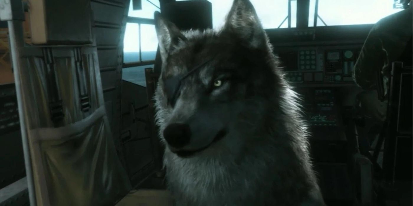D.Dog with an eyepatch over its right eye in Metal Gear Solid.