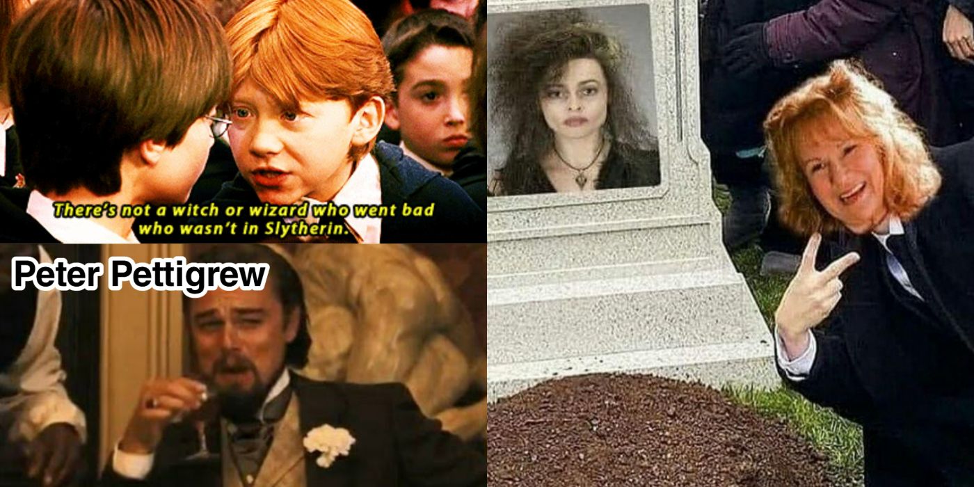 HARRY POTTER MEMES #10 