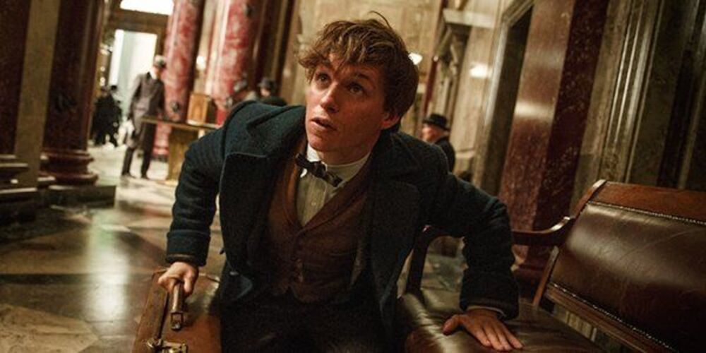 Newt Scamander getting up from a chair in Fantastic Beasts