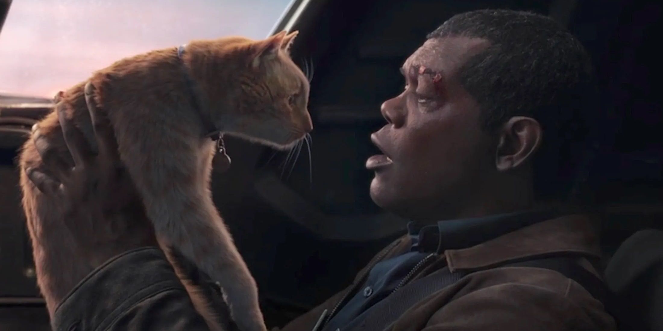 Nick Fury holding Goose the Flerken in Captain Marvel