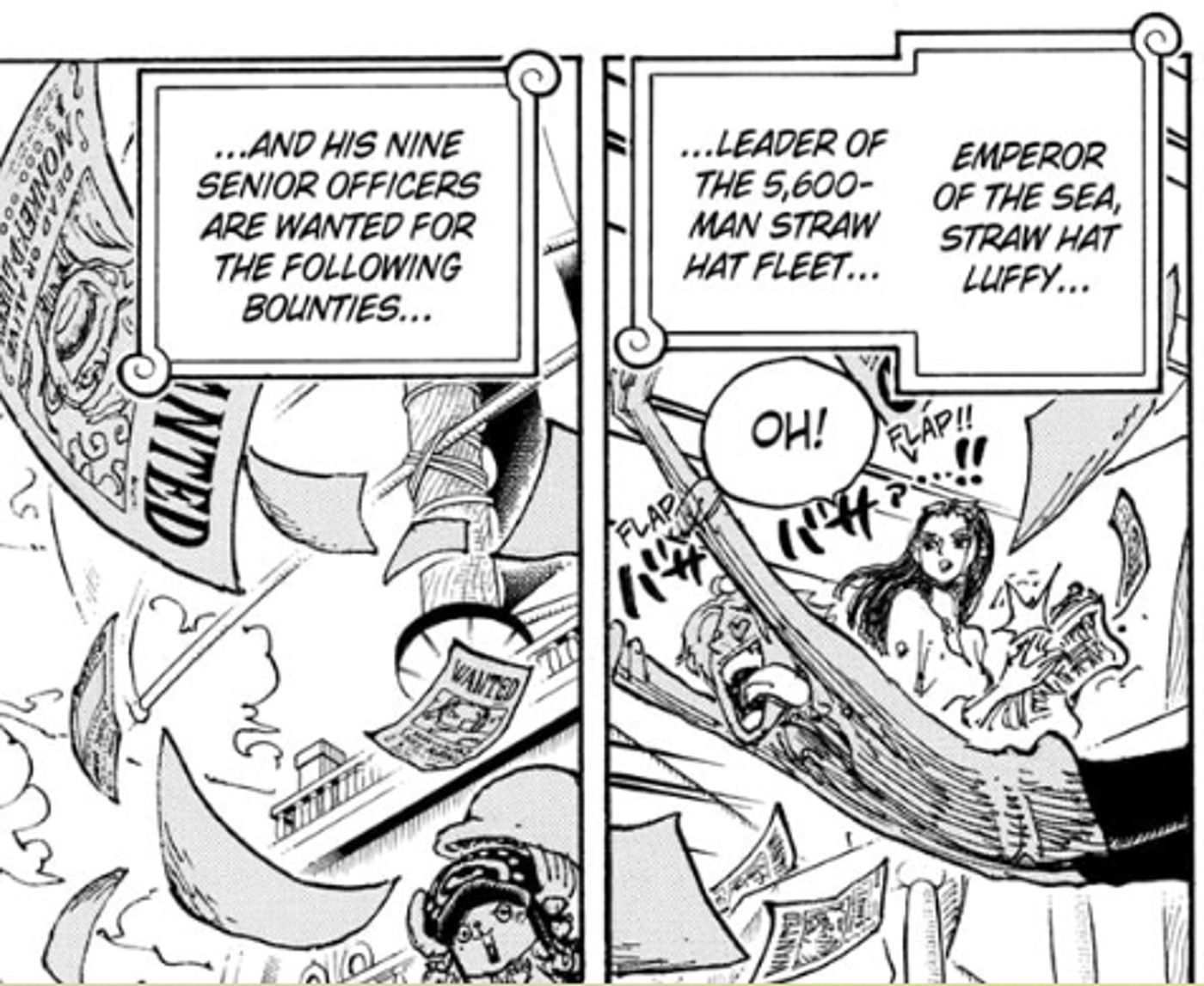 One Piece-Chapéu de Palha-oficiais-Grande-Frota