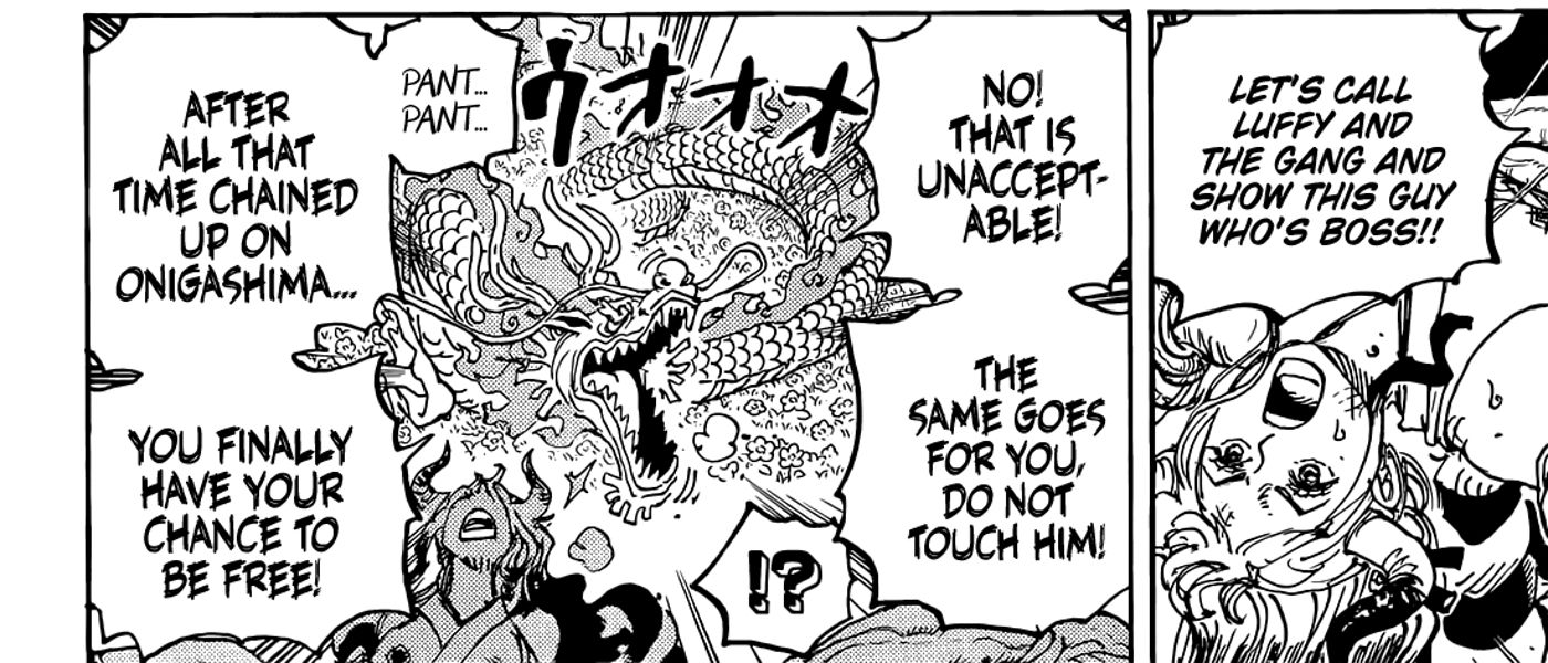 One Piece Finally Confirms the New Straw Hat, Settling a Big Debate