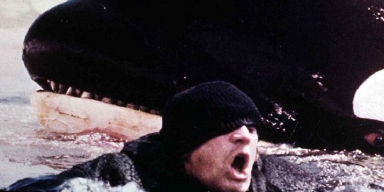 Beast 10 Best Animal Attack Movies, According To Reddit