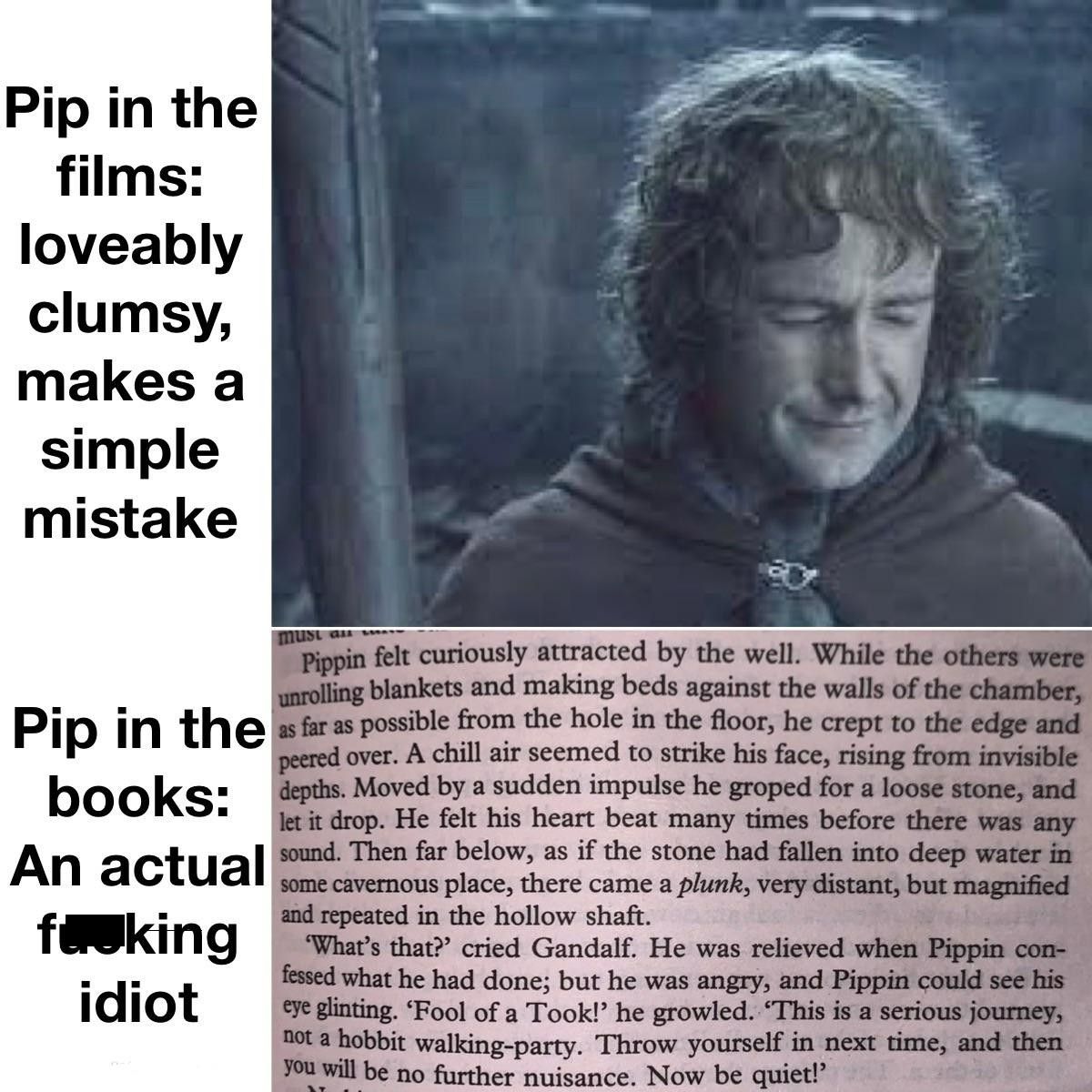 A Meme of Pippin comparing his actions in the book to the movie from The Lord of the Rings