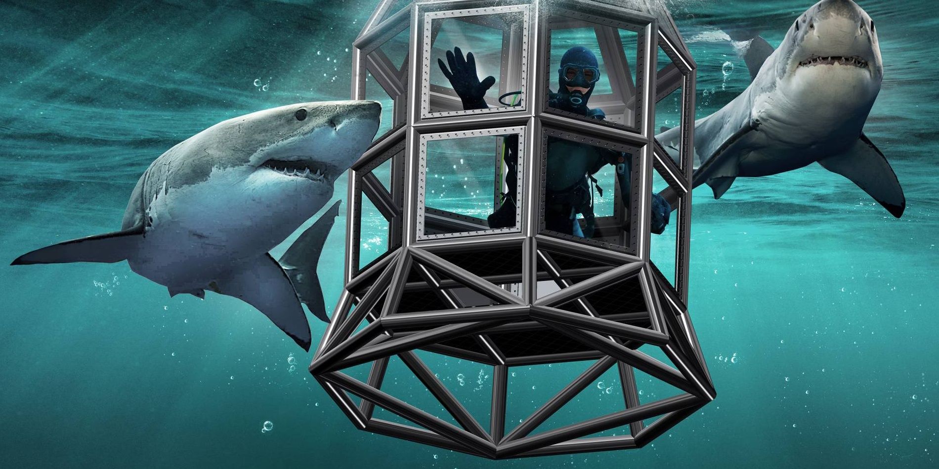 10 Discovery+ Documentaries To Watch If You Love Shark Week