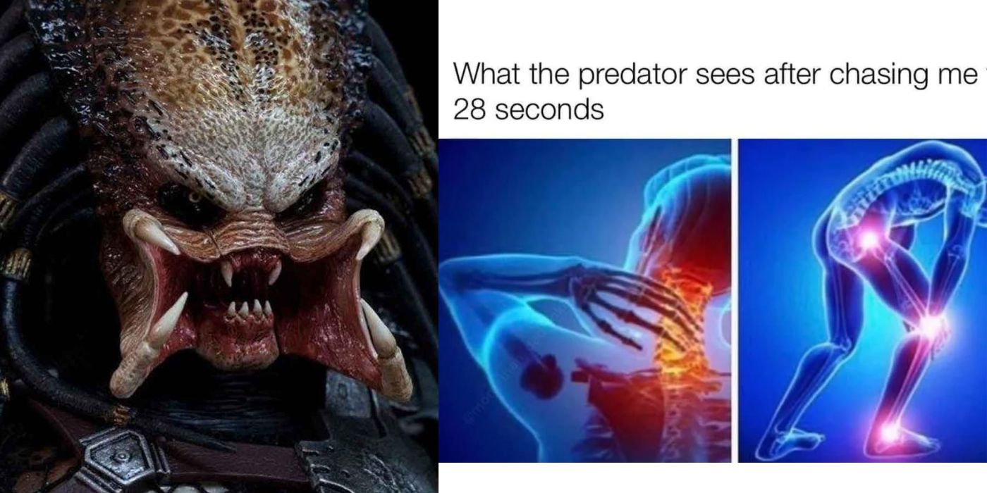 Best Funny predator Memes - 9GAG